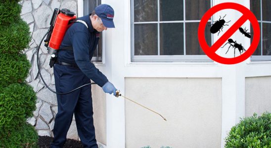 Milas Dezenfeksiyon böcek ilaçlama ve haşere kontrolü — ilaclama-tr.com